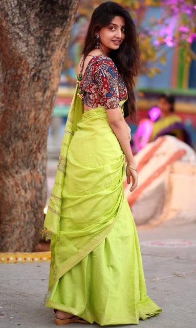 Actress Poonam Kaur Stills In Transparent Green Saree 6